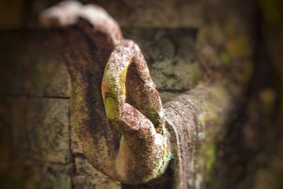 PAQUETE TAKSU SPA | El toque balinés