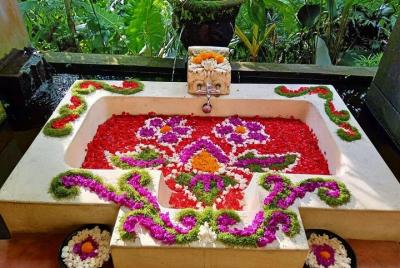 Experiencia privada de 3 horas en el baño de flores del spa en la