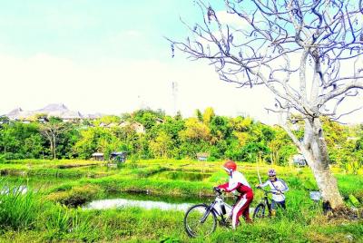 Recorrido en bicicleta por Yogyakarta por los pueblos y la granja