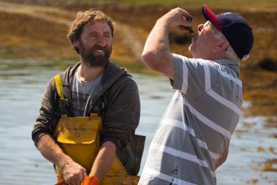 Tour a la granja de ostras y degustación de ostras. Letterfrack, 