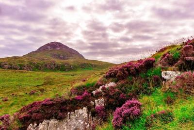 Caminata en el Parque Nacional de Connemara. Galway Privado guiad