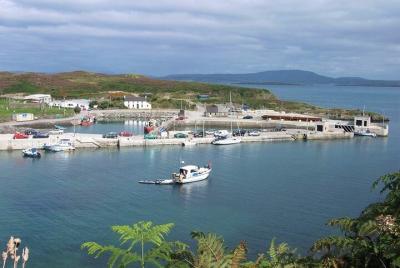 Explore la isla Cape Clear saliendo de Schull - Autoguiado Explore la isla Cape Clear saliendo de Schull - Autoguiado