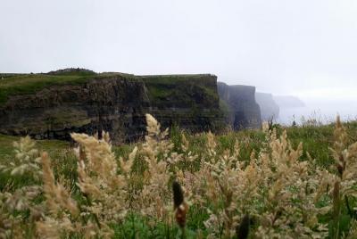 Scogliere di moher e Galway en italiano