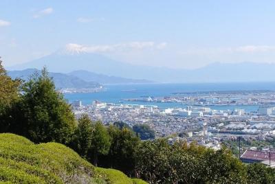 Primer TOSHOGU y todo el paisaje del monte. Fuji