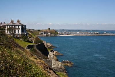 Traslado privado a la llegada a Dublín: Puerto de cruceros al hot