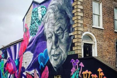 Running Tours de Dublín