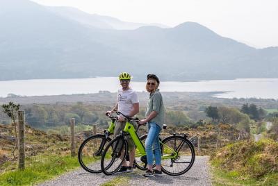 Visita guiada o autoguiada en bicicleta eléctrica por los aspecto