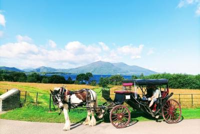 Tour de Muckross Park