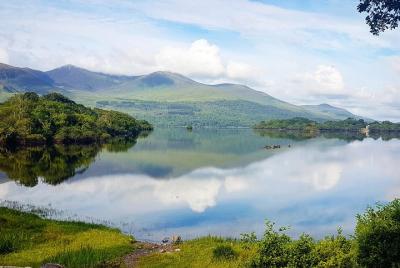 Excursión en automóvil por el Castillo de Ross desde Killarney