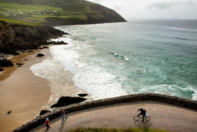 Excursión de un día a la península de Dingle desde Limerick: incl Excursión de un día a la península de Dingle desde Limerick: incl