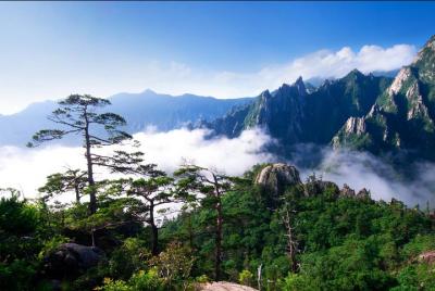 Parque Nacional Mt Seorak incluyendo un teleférico y almuerzo