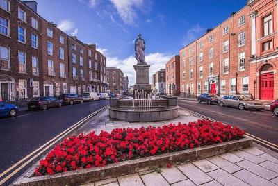 Recorrido a pie por la ciudad de Limerick
