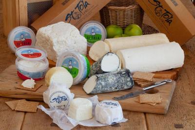 Disfruta de una degustación de quesos de cabra y una granja de ca Disfruta de una degustación de quesos de cabra y una granja de ca