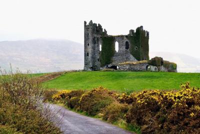Tour privado del Ring of Kerry, Skelligs, Kerry Cliffs y Valentia Tour privado del Ring of Kerry, Skelligs, Kerry Cliffs y Valentia