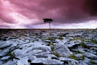 Caminar dentro - Caminata espiritual privada. Burren, Co Clare. G
