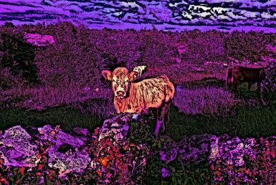 Sea creativo, comience con el arte.