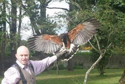 Hawk Walk con almuerzo