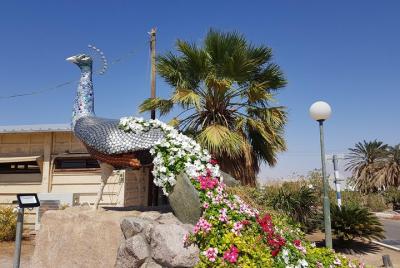 Kibbutz Life Tour desde Eilat Kibbutz Life Tour desde Eilat