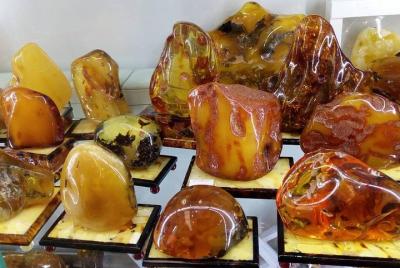 Vea la reserva de ámbar más grande del mundo: tour privado de la 