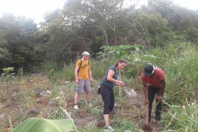 Recorre una granja jamaicana
