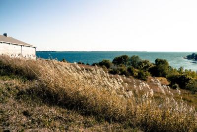 Traslado privado al aeropuerto: Aeropuerto Internacional Norman M