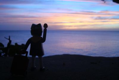 Negril Beach Flex y Sunset at Rick's Cafe