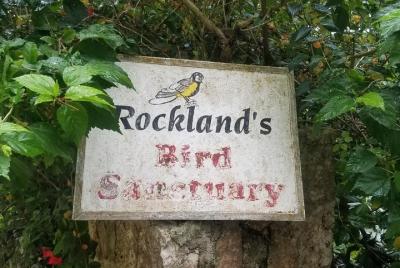 Rockland Bird Feeding And Montego Bay Highlight Tour 