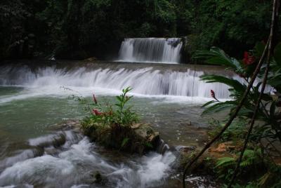 Excursión privada de un día a Ys Falls desde Montego Bay