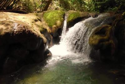 Caminata por la naturaleza en Mayfield Falls Caminata por la naturaleza en Mayfield Falls