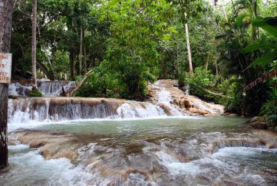 Tour privado a Dunn Tour privado a Dunn's River Falls