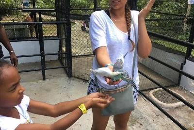 Jardín Konoko y Cataratas Mohoe