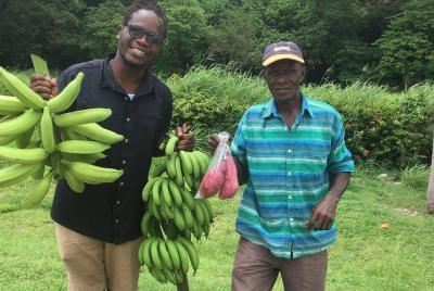 Medio día gastronómico y cultural de Jamaica en Ocho Ríos Medio día gastronómico y cultural de Jamaica en Ocho Ríos