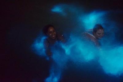 Excursión privada a la laguna luminosa desde Ocho Ríos o la bahía