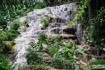 Excursión a las cataratas de Konoko y al jardín desde Port Anoton