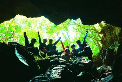 Explore Mt. Cueva de hielo de Fuji en el bosque de Aokigahara