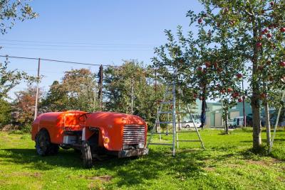 Apple recogiendo taxi