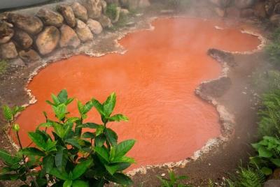 Viaje privado de día completo a Beppu con guía con licencia nacio