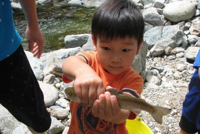 Experimente la captura de peces de río.
