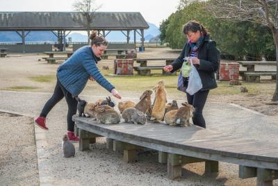 Tour privado: disfrute del hermoso casco antiguo y la isla de los