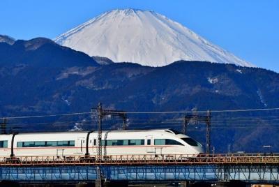 Recorrido privado a pie de Hakone. Precio por grupo