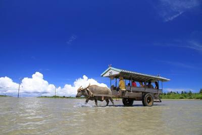 Tour privado de medio día a la isla de Iriomote con guía con licencia del gobierno Tour privado de medio día a la isla de Iriomote con guía con licencia del gobierno