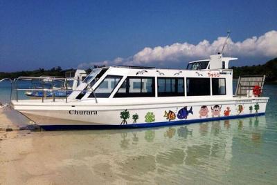 Boleto de crucero de vidrio por la bahía de Ishigakijima Kabira