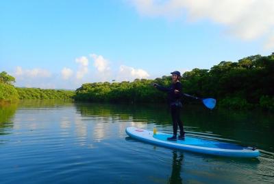 [Ishigaki] Excursión SUP / Canoa en Natural-Monument-Mangrove-For