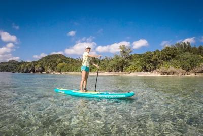 Experiencia de paddle stand-up guiada de medio día en Ishigaki