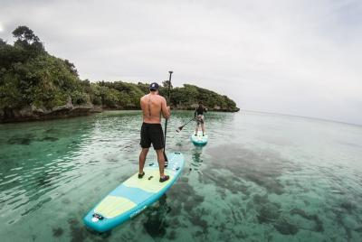 Experiencia guiada de Stand Up Paddle en Kabira Bay