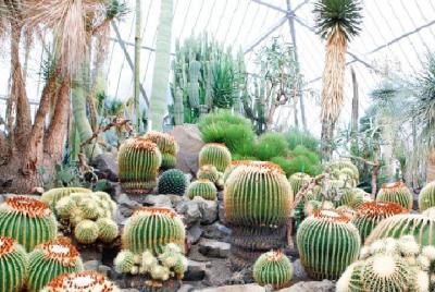 Entrada de entrada al parque de Izu Shaboten