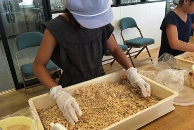 Miso haciendo experiencia