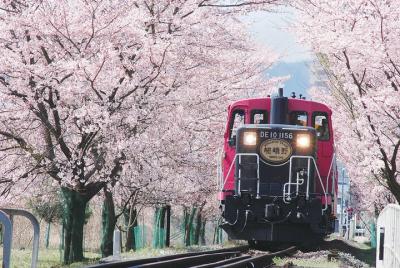 Tren romántico de Sagano y Arashiyama, Kiyomizudera, Fushimi Inar Tren romántico de Sagano y Arashiyama, Kiyomizudera, Fushimi Inar