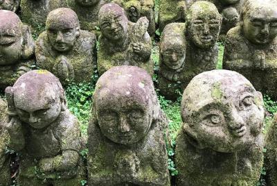 Kioto: descendiendo Arashiyama (grupo pequeño)