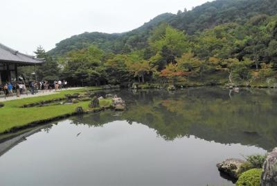 Tour por los impresionantes jardines japoneses de Kyoto